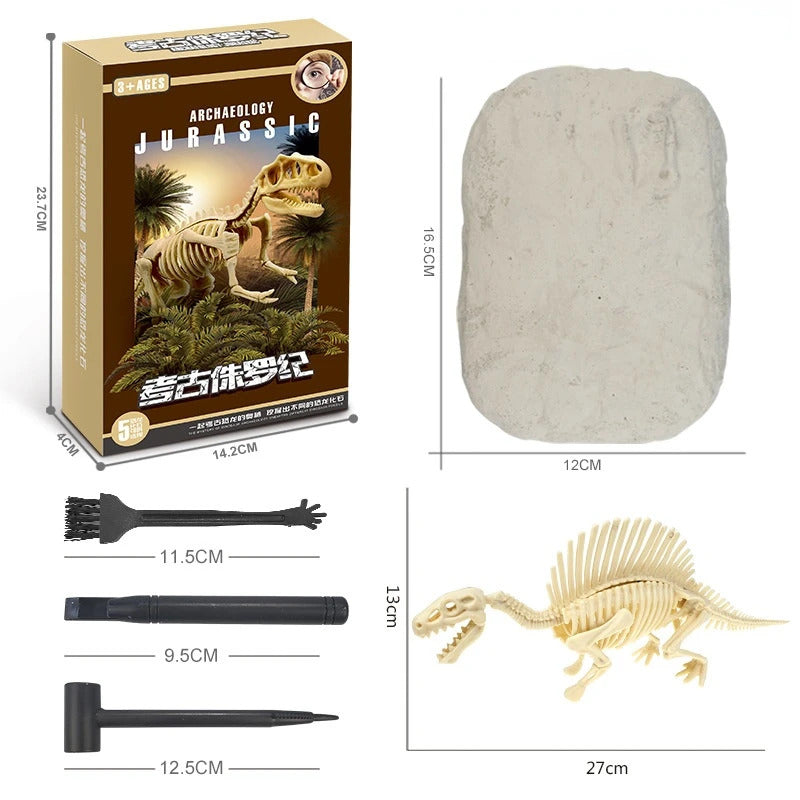 Dinosaur Fossil Excavation Kits Exquisite Jurassic Toy Set