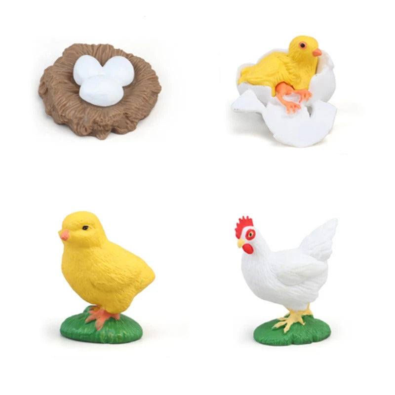 シミュレーションライフサイクル動物モデル子供教育玩具