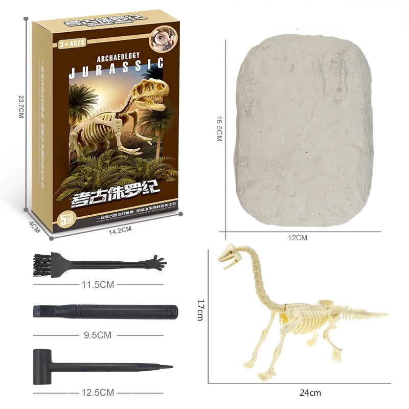 Dinosaur Fossil Excavation Kits Exquisite Jurassic Toy Set