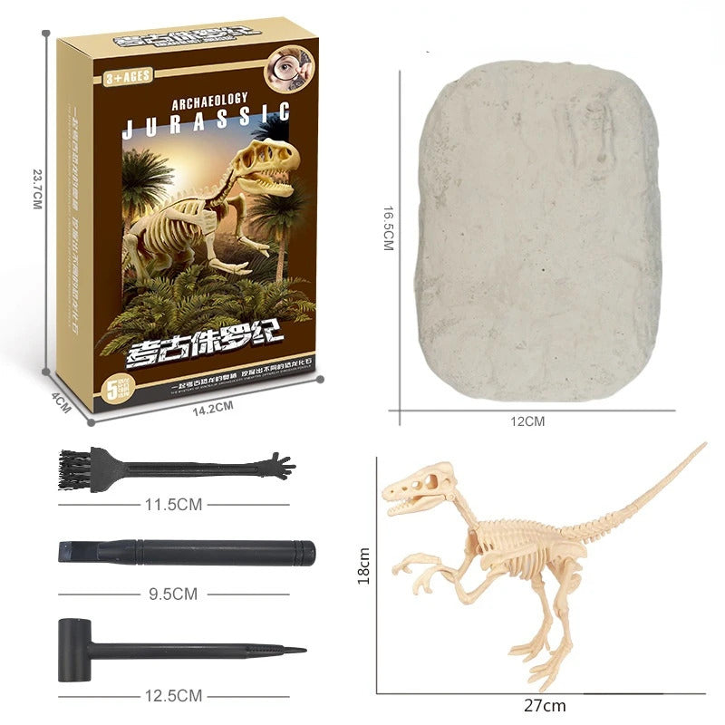 Dinosaur Fossil Excavation Kits Exquisite Jurassic Toy Set
