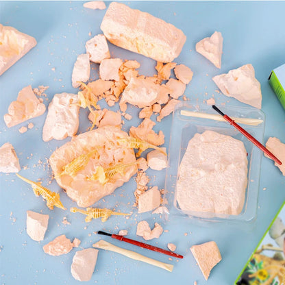 Archaeological Dig DIY Assembly Model
