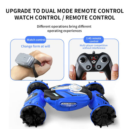 Off Road Climbing Water & Land 4WD Remote Control Racing Car