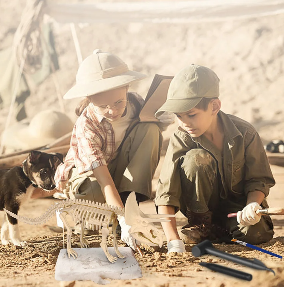Dinosaur Fossil Excavation Kits Exquisite Jurassic Toy Set