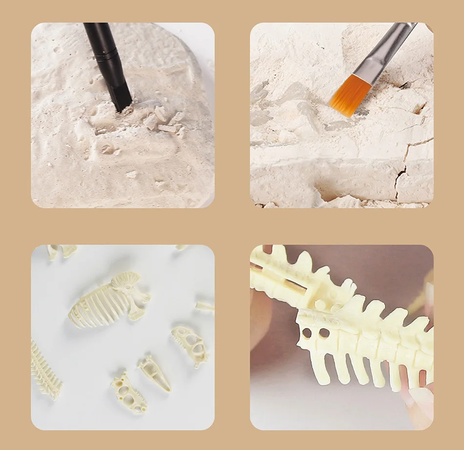 Dinosaur Fossil Excavation Kits Exquisite Jurassic Toy Set