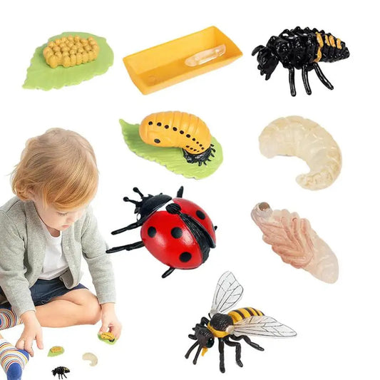 Biological Model Farm Animal Growth Figure Toys