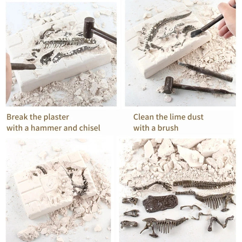 Dinosaur Fossil Excavation Kits Exquisite Jurassic Toy Set