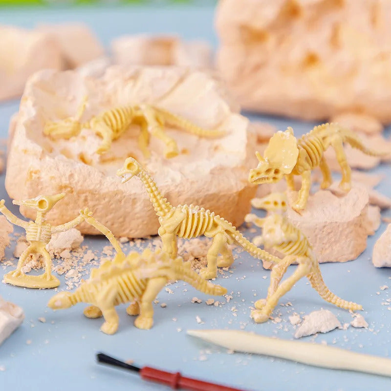 Archaeological Dig DIY Assembly Model
