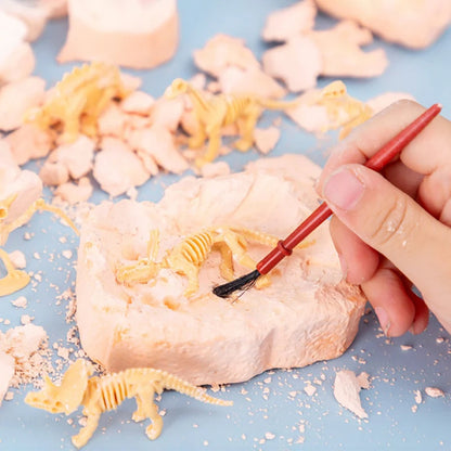 Archaeological Dig DIY Assembly Model