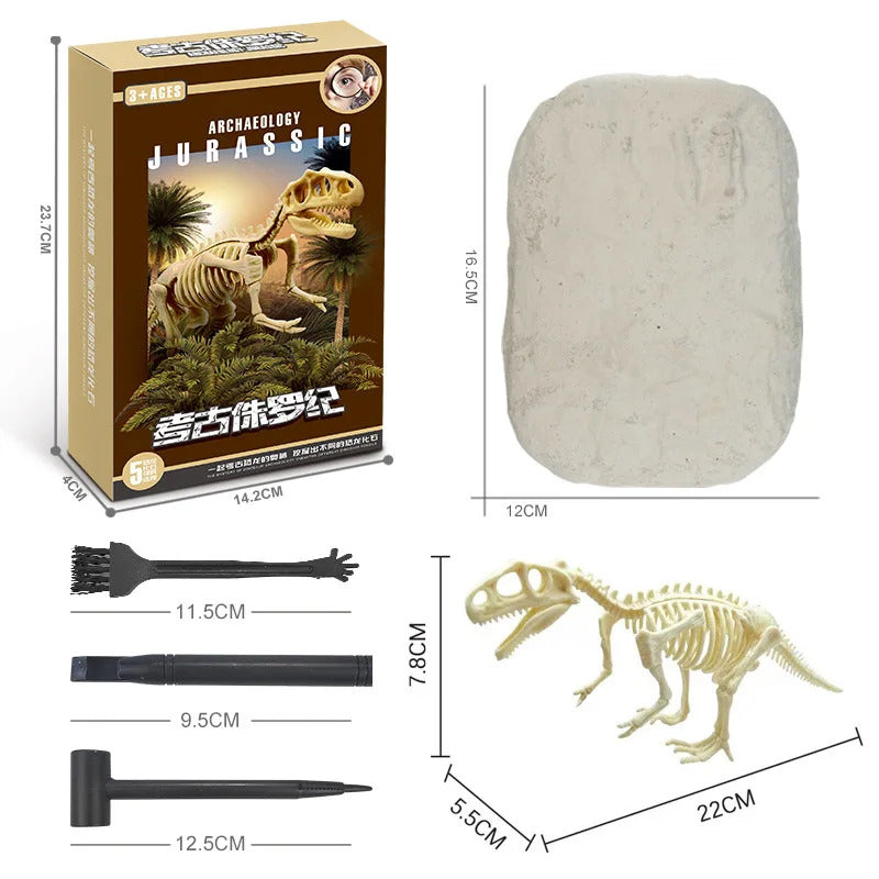 Dinosaur Fossil Excavation Kits Exquisite Jurassic Toy Set