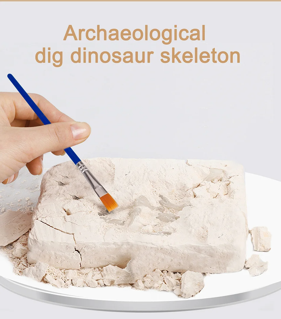 Dinosaur Fossil Excavation Kits Exquisite Jurassic Toy Set