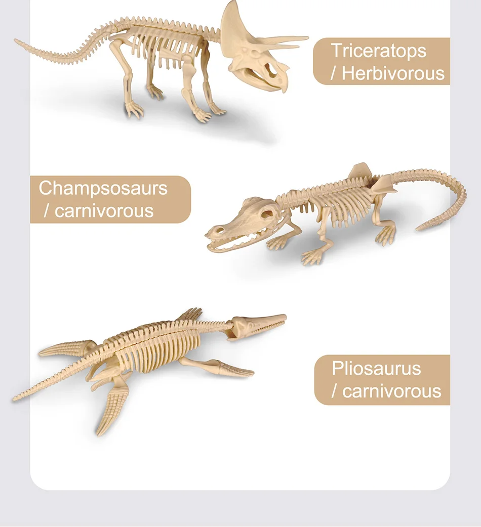 Dinosaur Fossil Excavation Kits Exquisite Jurassic Toy Set
