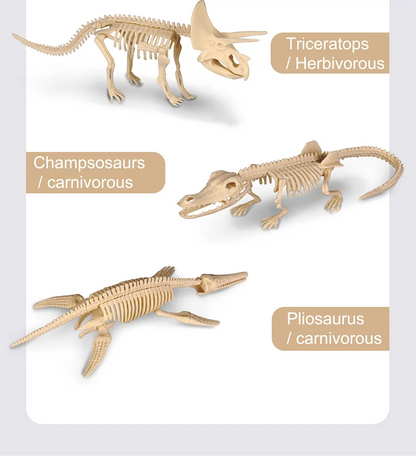 Dinosaur Fossil Excavation Kits Exquisite Jurassic Toy Set