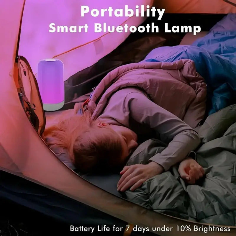 Smart LED Bedsides Lamp Night Light RGB Dimmable Touch Light