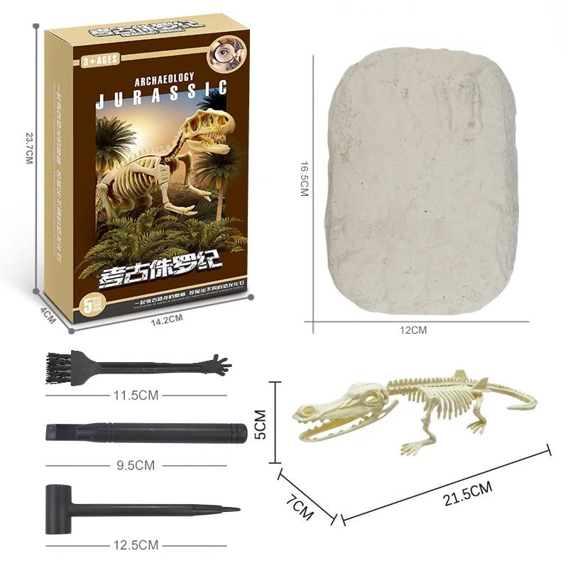 Dinosaur Fossil Excavation Kits Exquisite Jurassic Toy Set