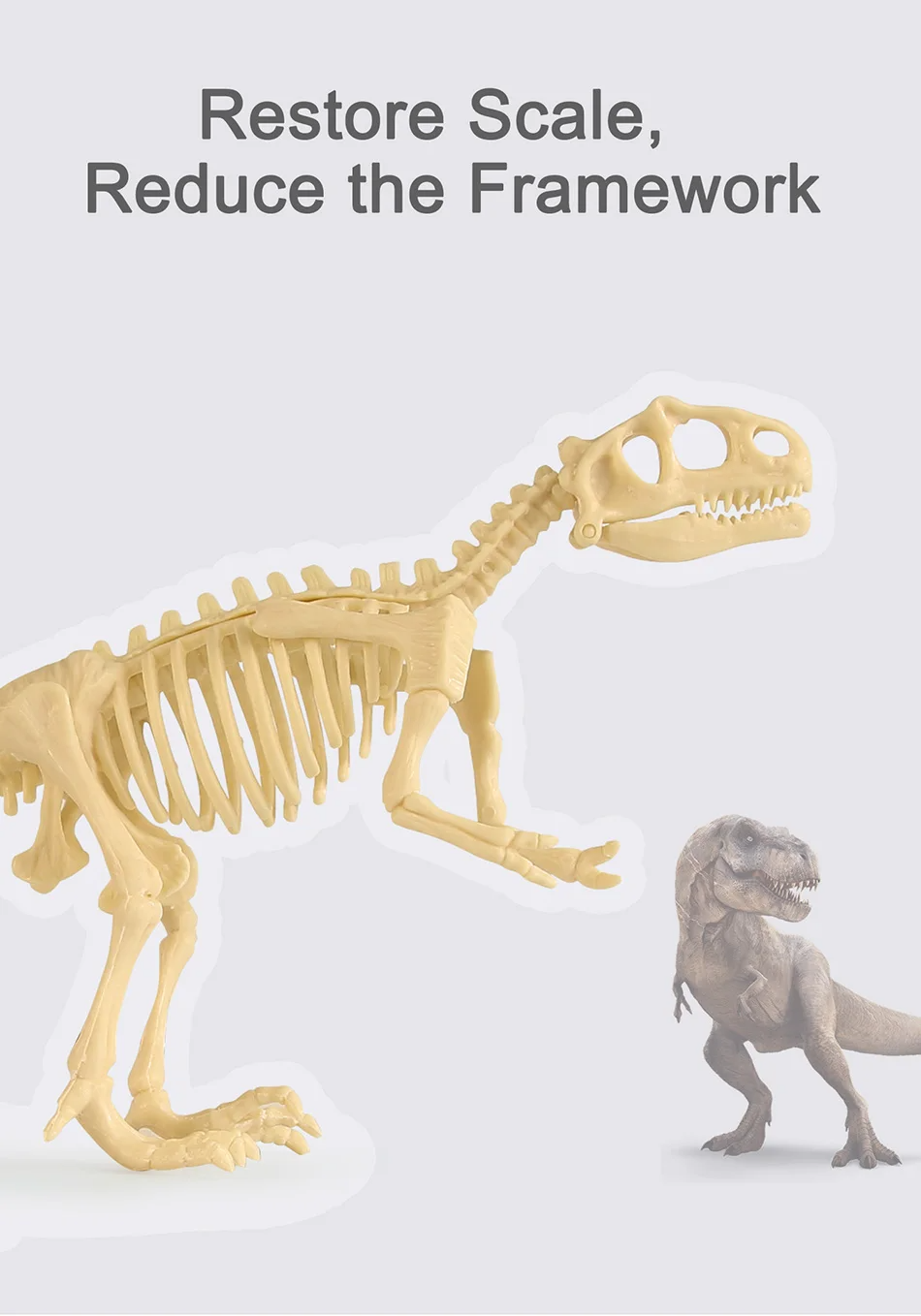 Dinosaur Fossil Excavation Kits Exquisite Jurassic Toy Set