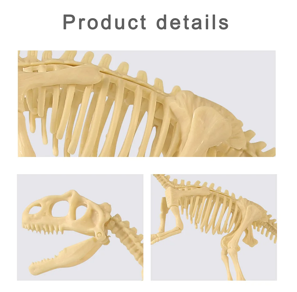 Dinosaur Fossil Excavation Kits Exquisite Jurassic Toy Set