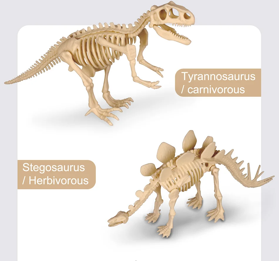 Dinosaur Fossil Excavation Kits Exquisite Jurassic Toy Set