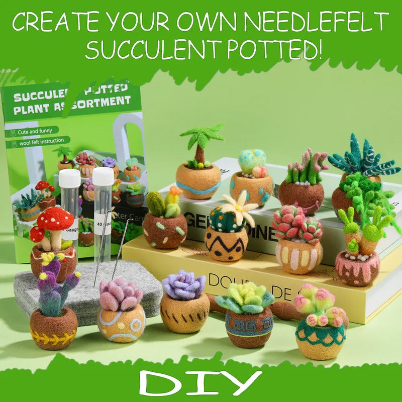 Succulent Potted Plant Wool Felting Kits