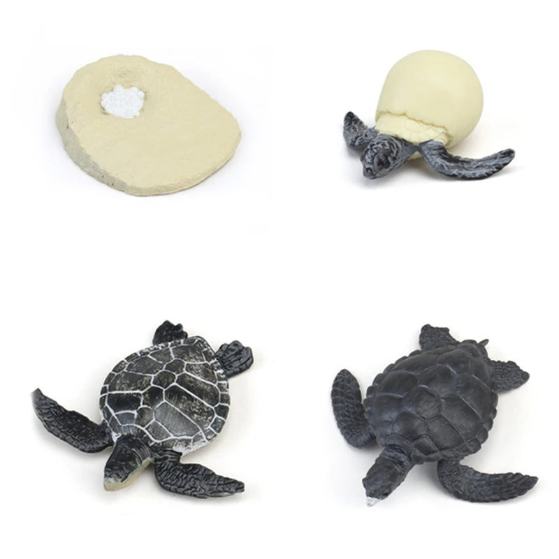 シミュレーションライフサイクル動物モデル子供教育玩具