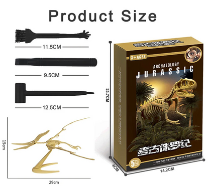 Dinosaur Fossil Excavation Kits Exquisite Jurassic Toy Set